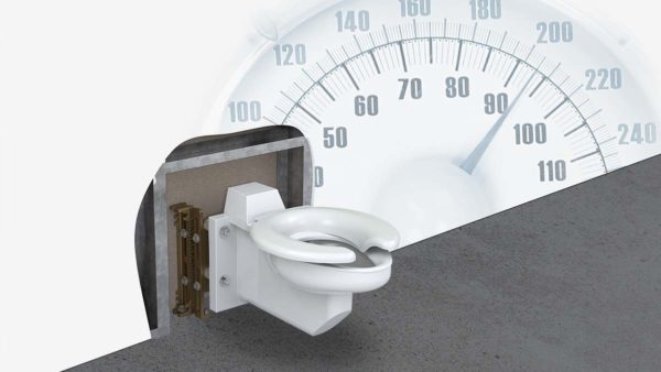 How to Choose a Bariatric Toilet